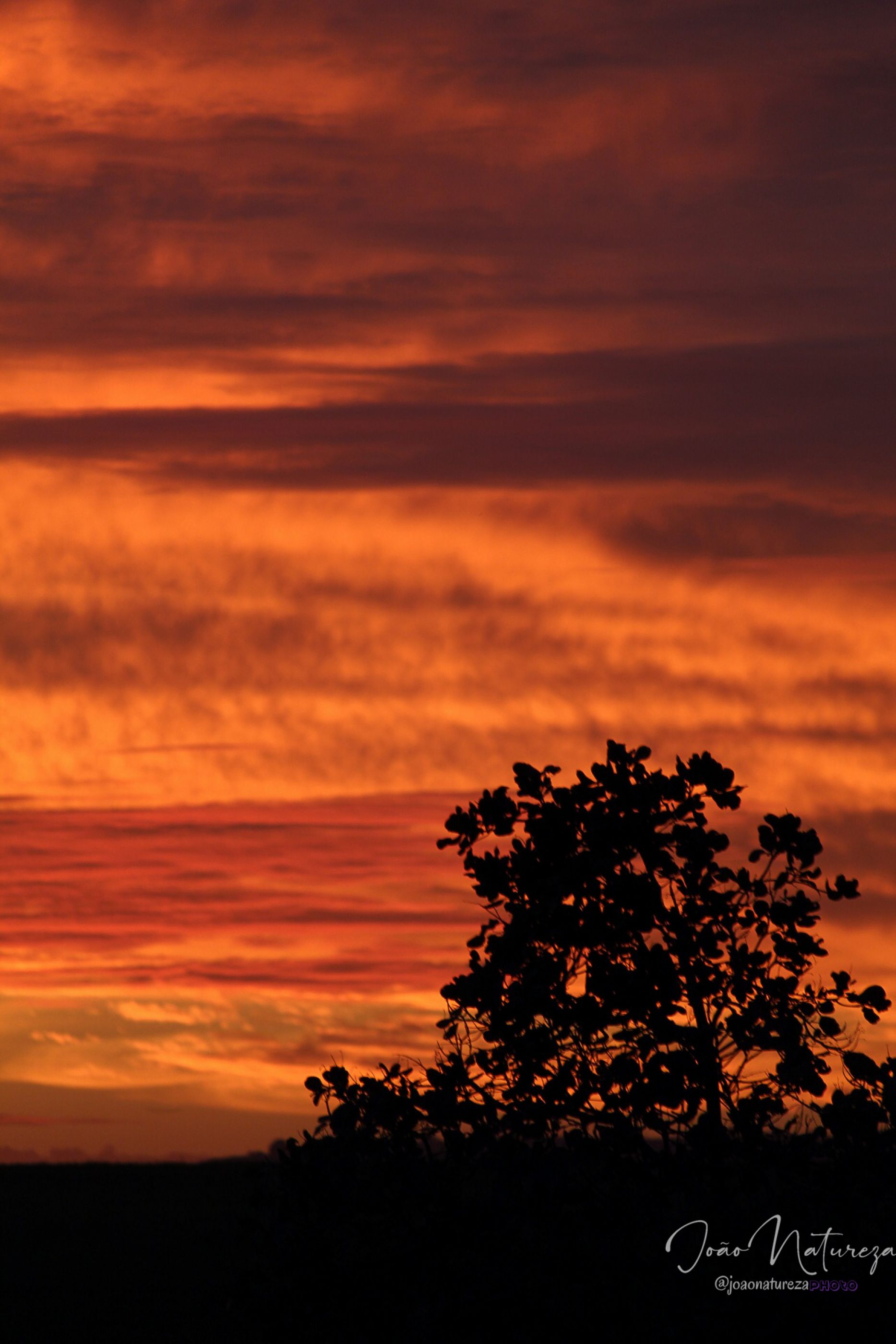 Pôr  do Sol visto de Tracunhaém By @joaonaturezaphoto